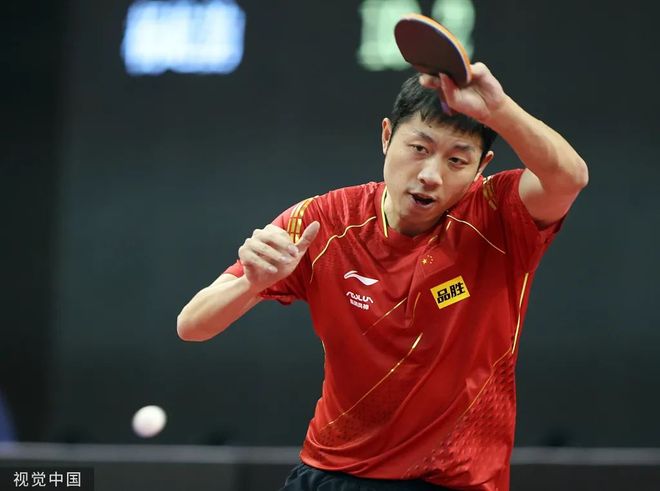 不仅展示了 不仅展示了