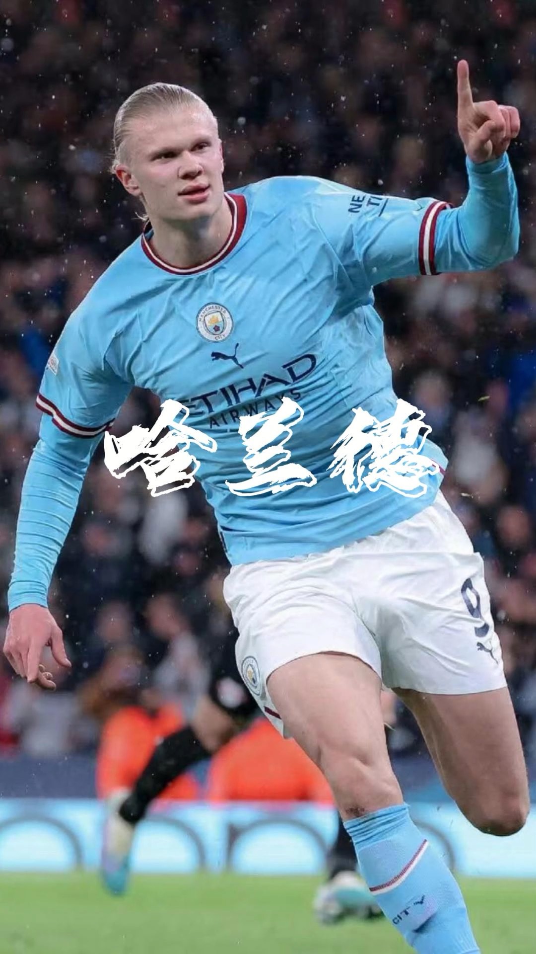 理逻辑的再 理逻辑的再